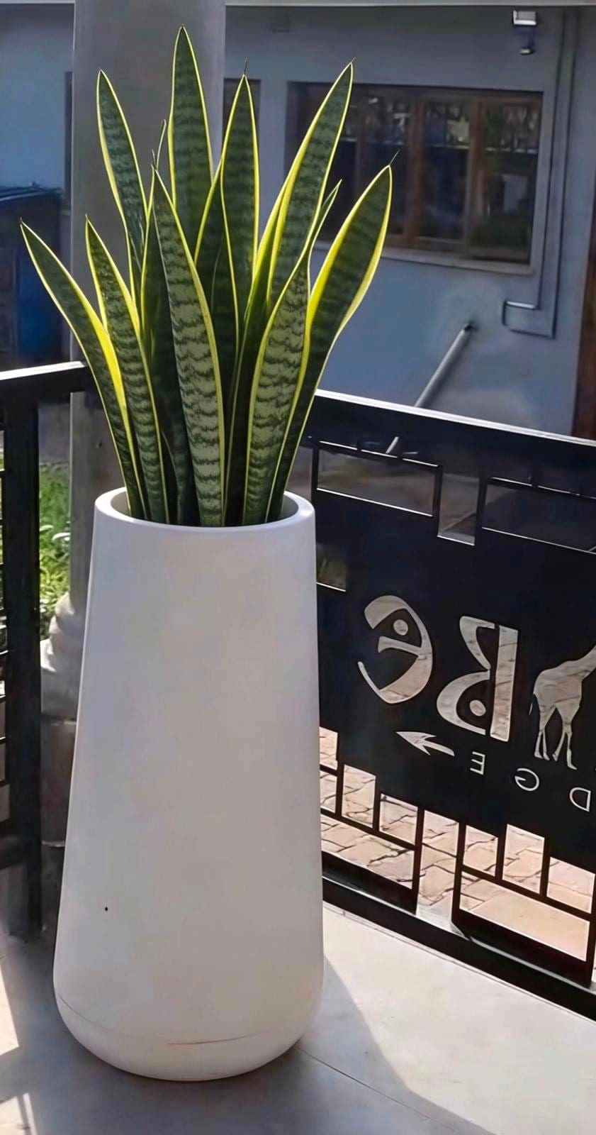 Branded Steel Fence